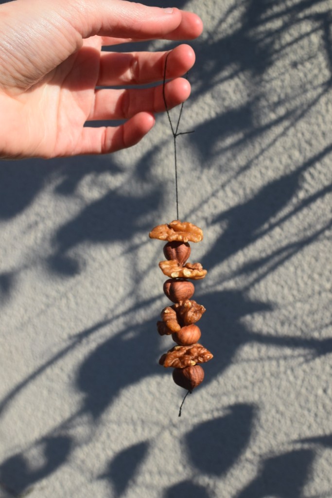 Sur un fil sont alternées quatre noisettes et quatre cerneaux de noix.